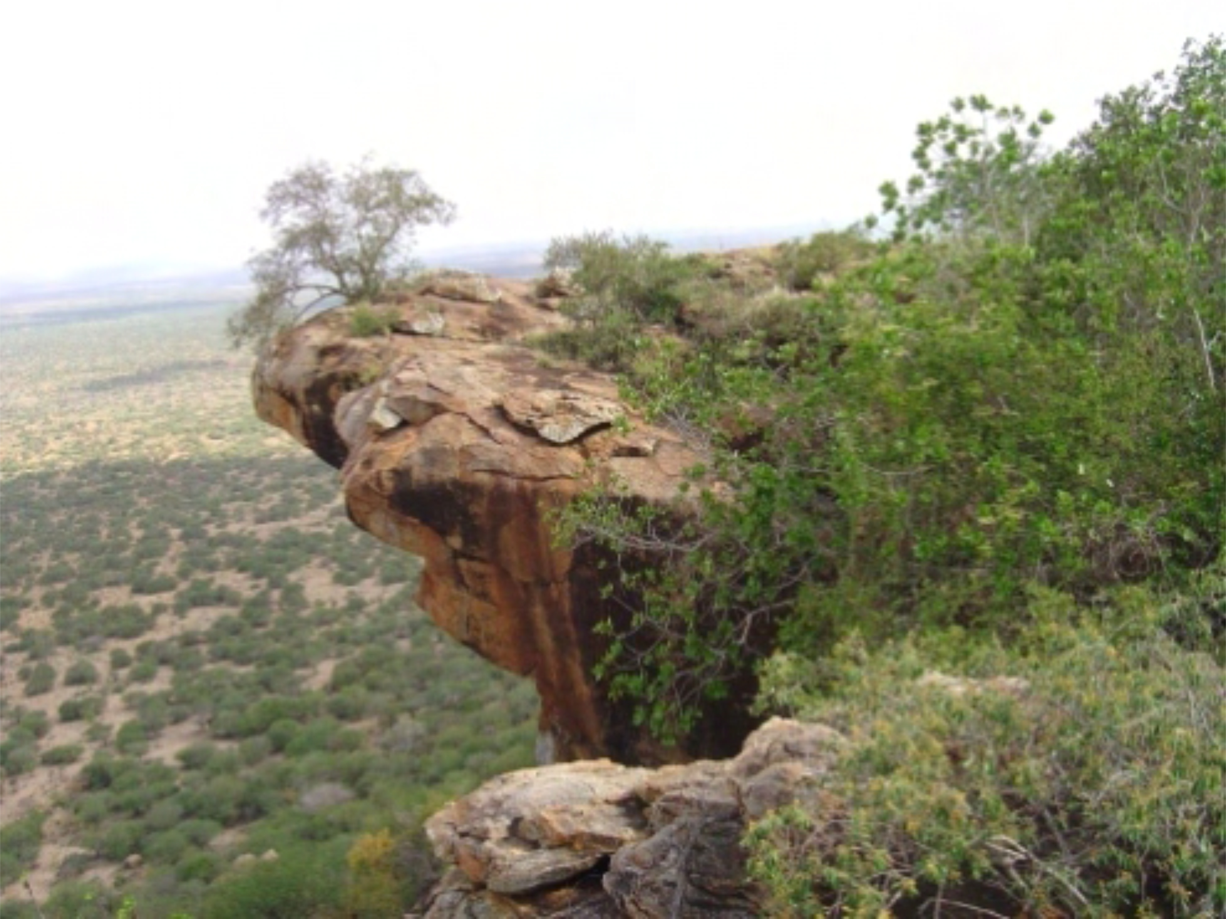 Loisikitok Eco Lodge — image 4 of 6